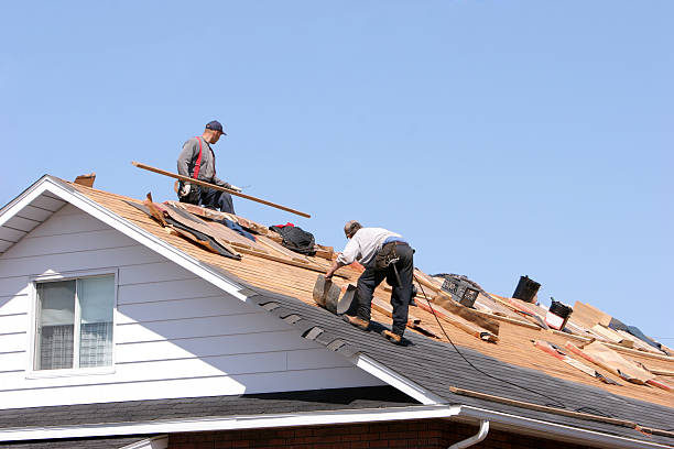 Best Storm Damage Roof Repair  in USA